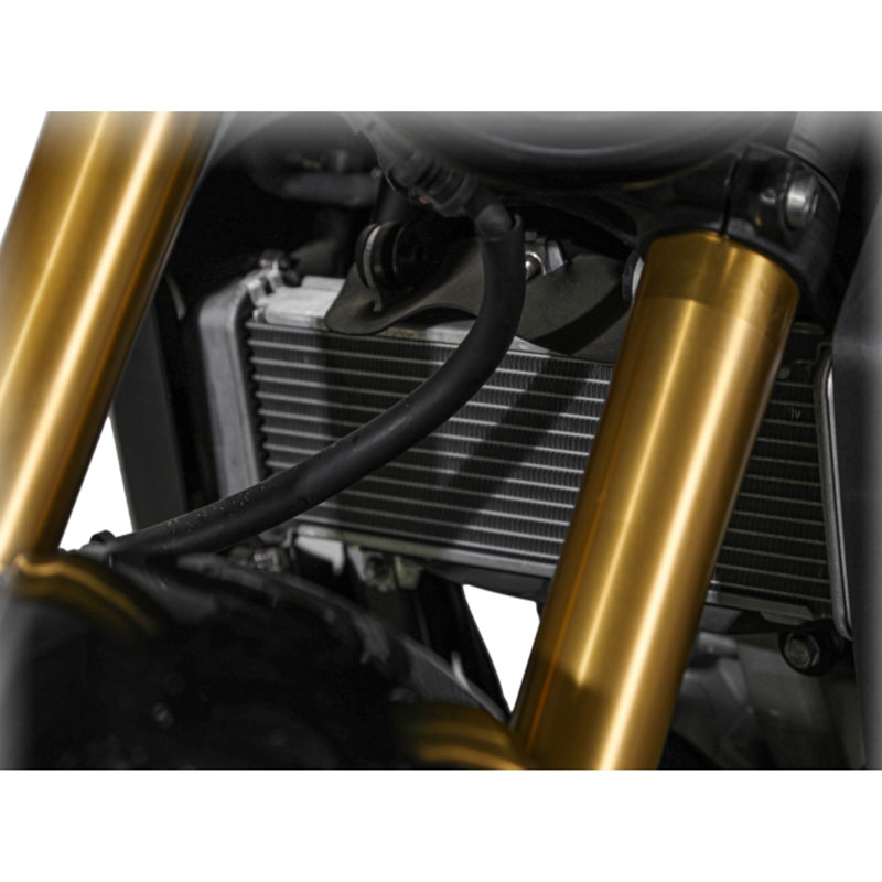 موتور سیکلت نیکد هوندا HONDA CB 150R SPECIAL ABS