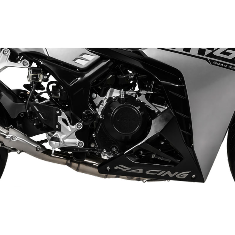 موتور سیکلت وینتو VINTO GP 250
