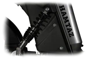 موتور برقی همتاز HAMTAZ EM 800
